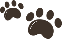 Home Pet Care