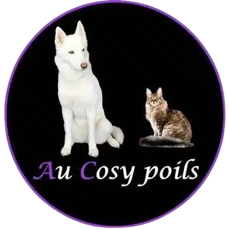 AuCosyPoils